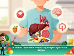 Nutrisi Tepat untuk Mendukung Fungsi Organ Tubuh Optimal